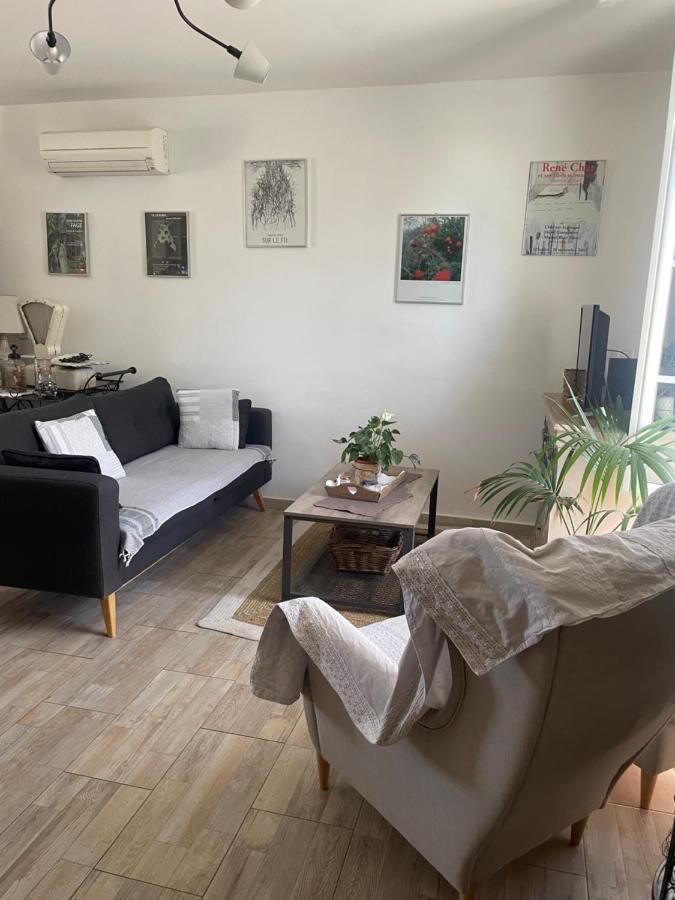 Appartement Avec Jardin En Ville LʼIsle-sur-la-Sorgue Екстериор снимка